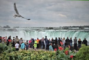 Lire la suite à propos de l’article Comment la technologie transforme-t-elle notre expérience touristique ?