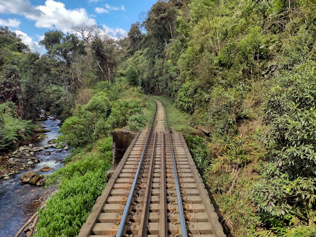 You are currently viewing Pourquoi le train est-il le meilleur choix pour vos prochaines aventures?